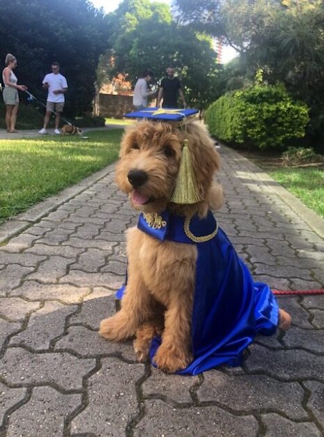 Ralph in graduation outfit