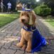 Ralph in graduation outfit
