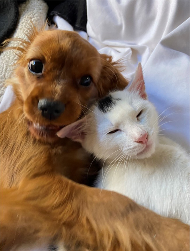testimonial image of puppy Scout and cat Pepper